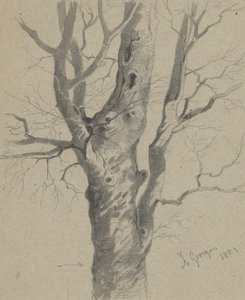 Estudio de un tronco de árbol nudoso de Friedrich Carl von Scheidlin